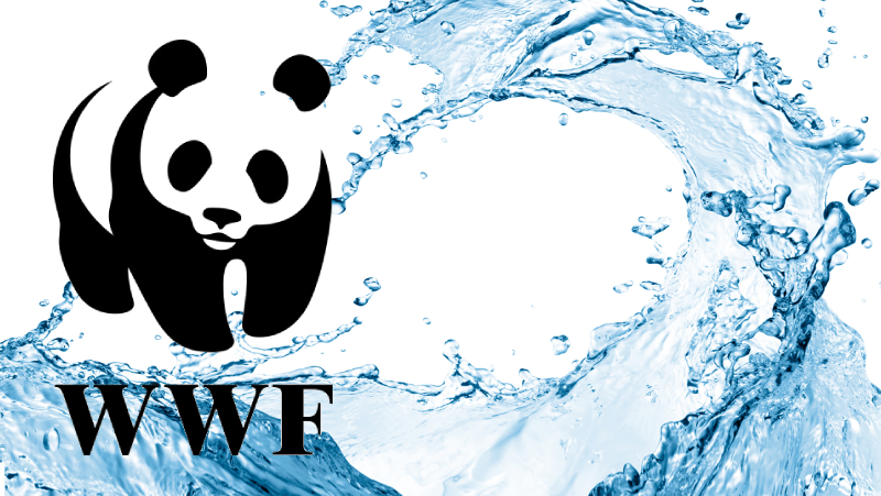 Wwf Logo 1986–2000 Edited